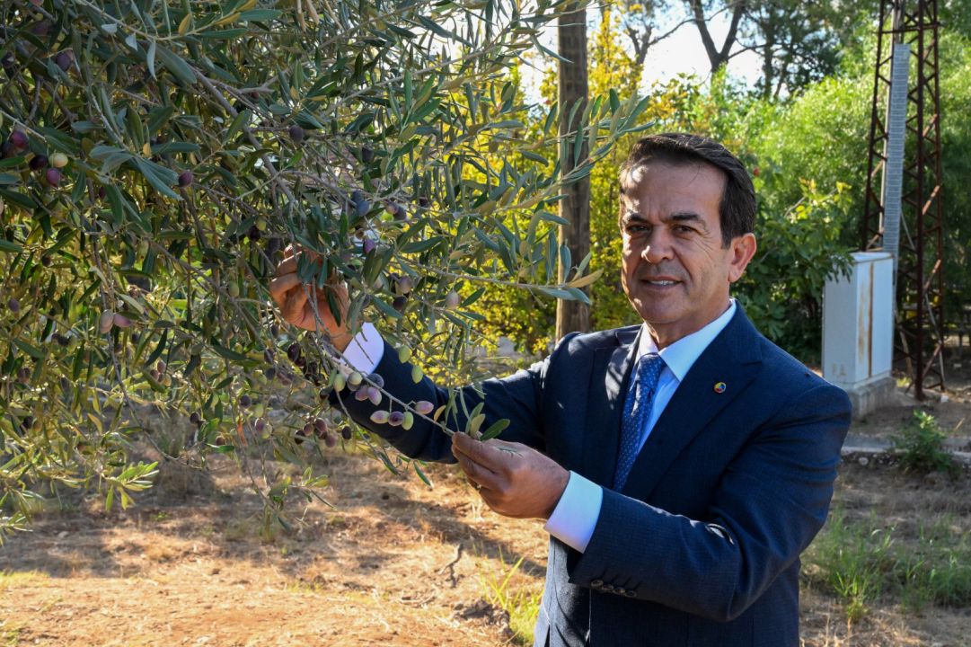 Zeytinyağında altın, gümüş ve bronz ödüller sahiplerini bulacak