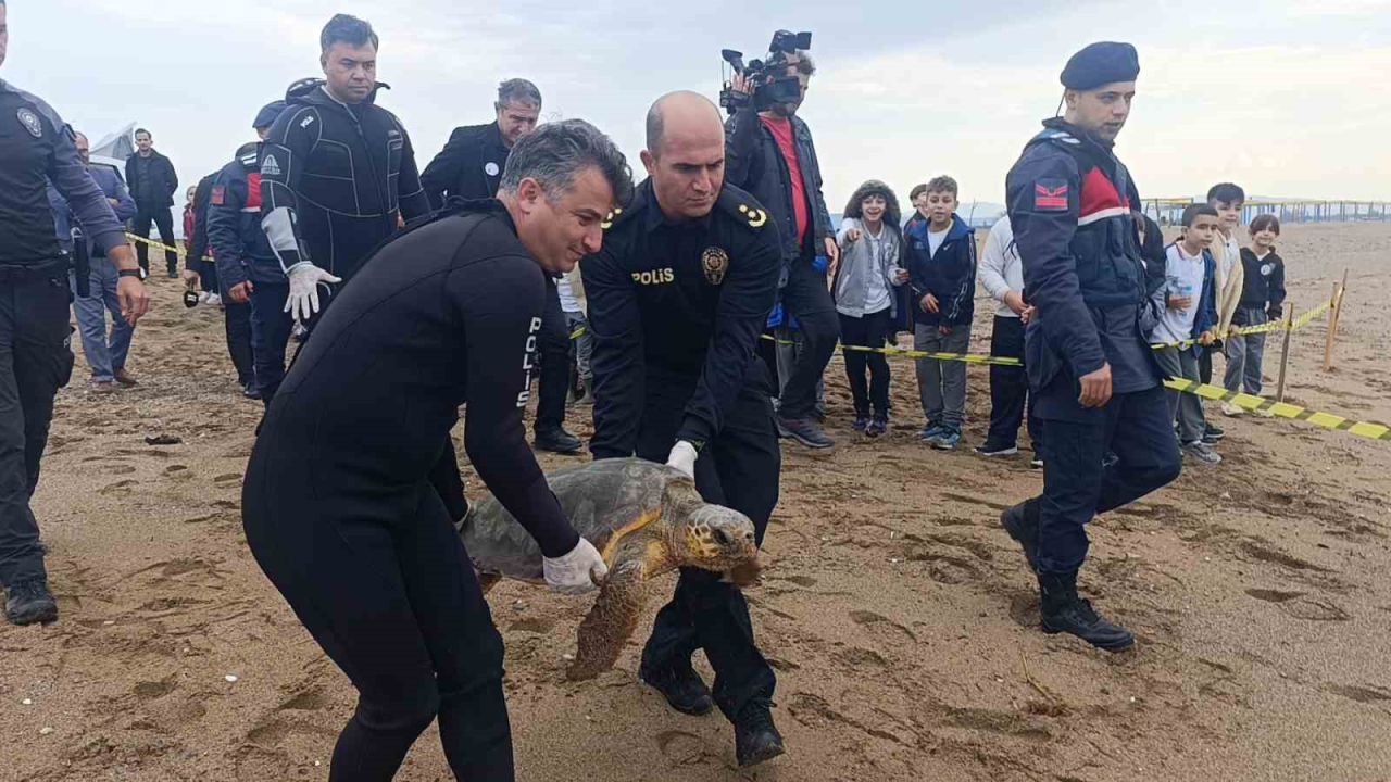 Antalya’da yaralı bulunan Caretta caretta tedavisinin ardından yeniden özgürlüğe kavuştu