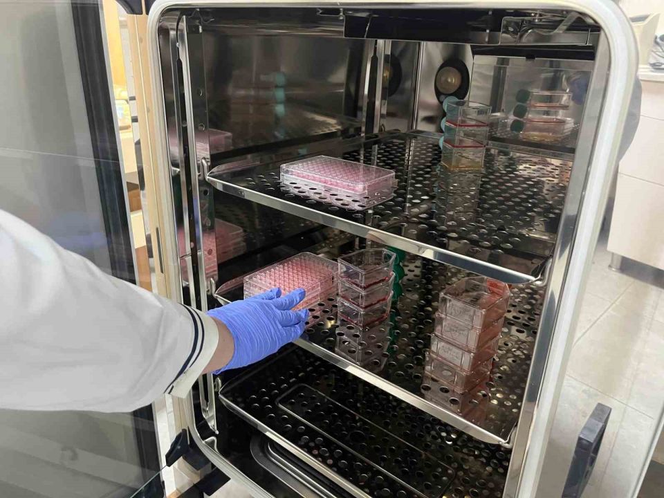 Bağırsak–Beyin aksının sırları çözülüyor! Türkiye’de bir ilk