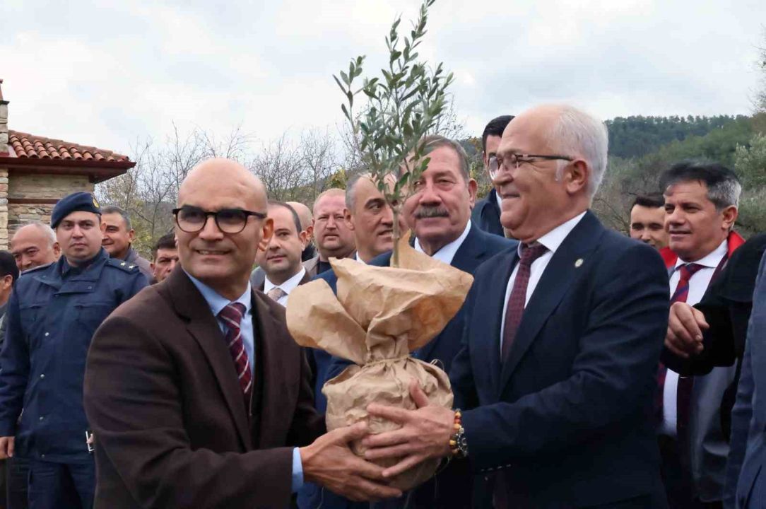 Stratonikeia’da ilk ‘Zeytin Hasat Festivali’ düzenlendi