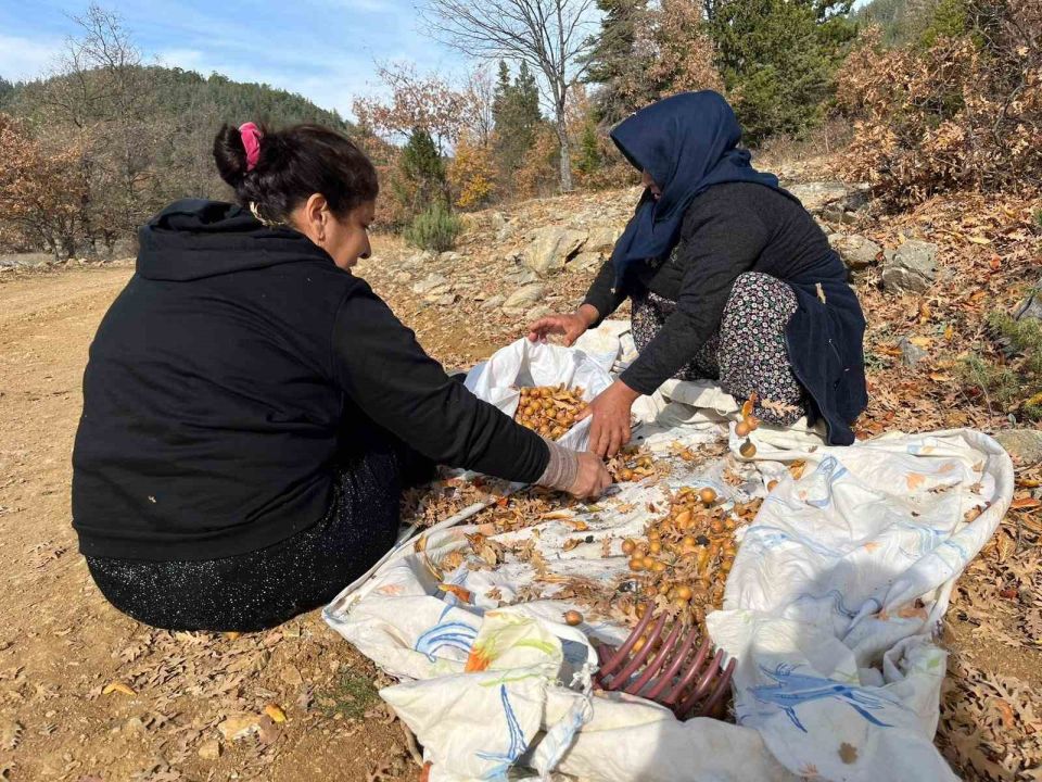 Toros Dağları’nda  gizemli hayırseverin 30 yıl önce aşıladığı meyveler bölge halkına gelir oldu