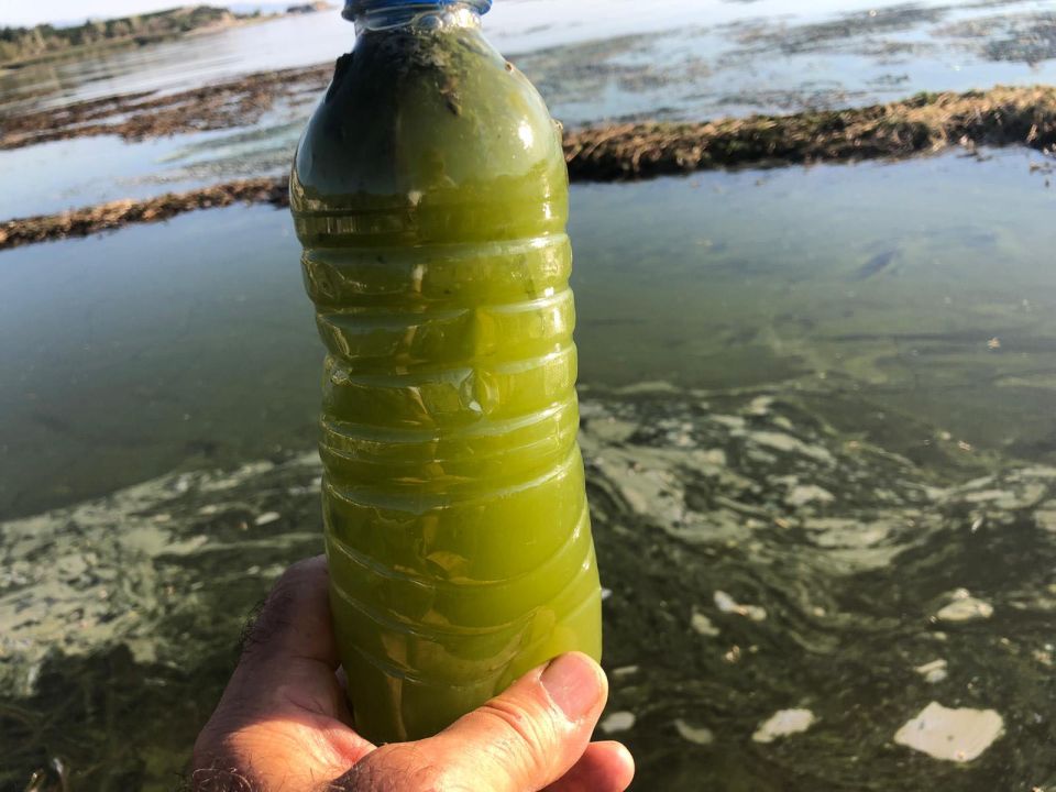 Eğirdir Gölü'nde 'bulanık yapı' riski