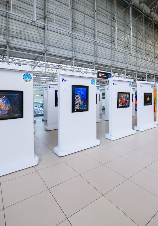 'Kaptan'ın Seyir Defteri' sualtı fotoğraf sergisi açıldı