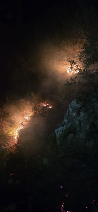 Orman yangını büyümeden söndürüldü