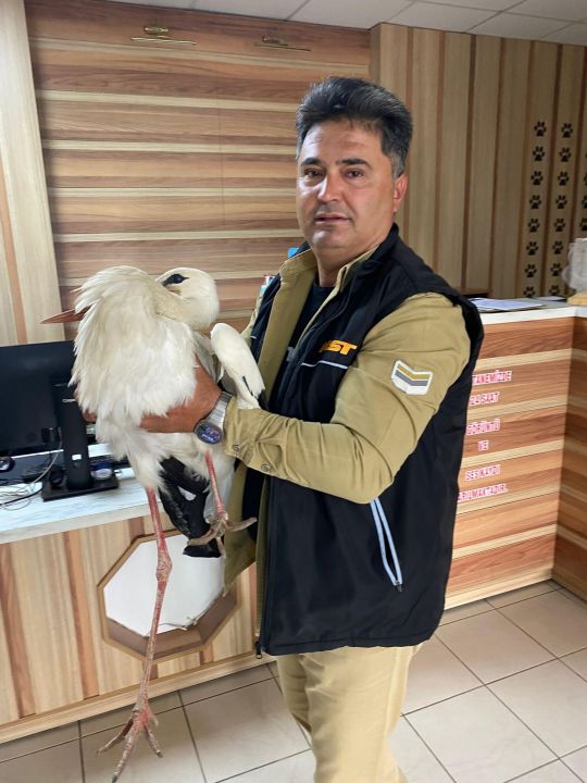 Bitkin düşen leylek, tedaviye alındı