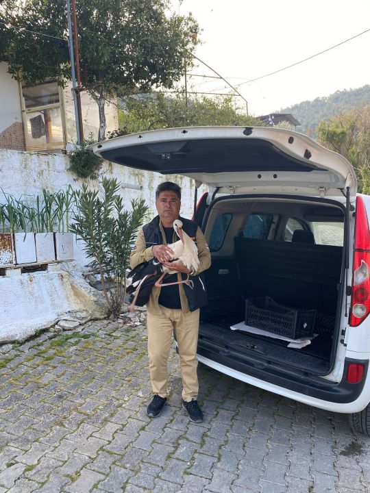 Bitkin düşen leylek, tedaviye alındı