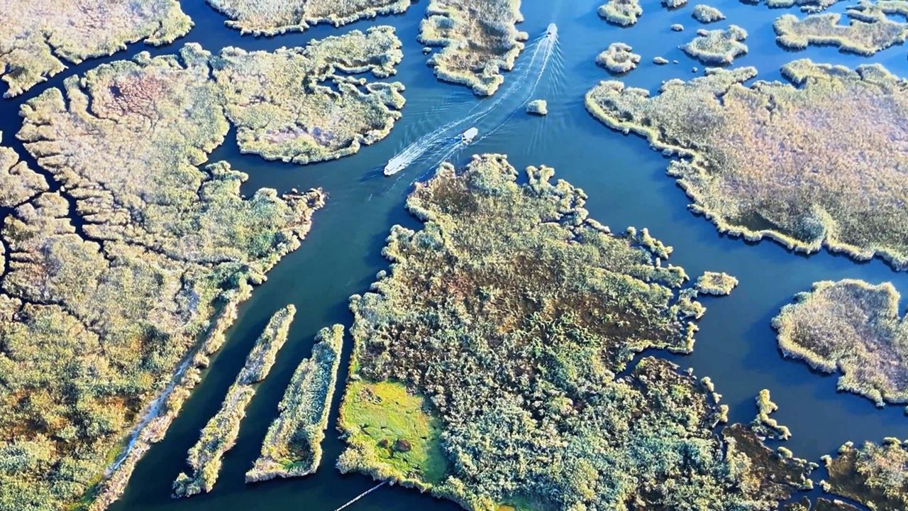 Labirent şeklindeki Dalyan Kanalı dronla görüntülendi