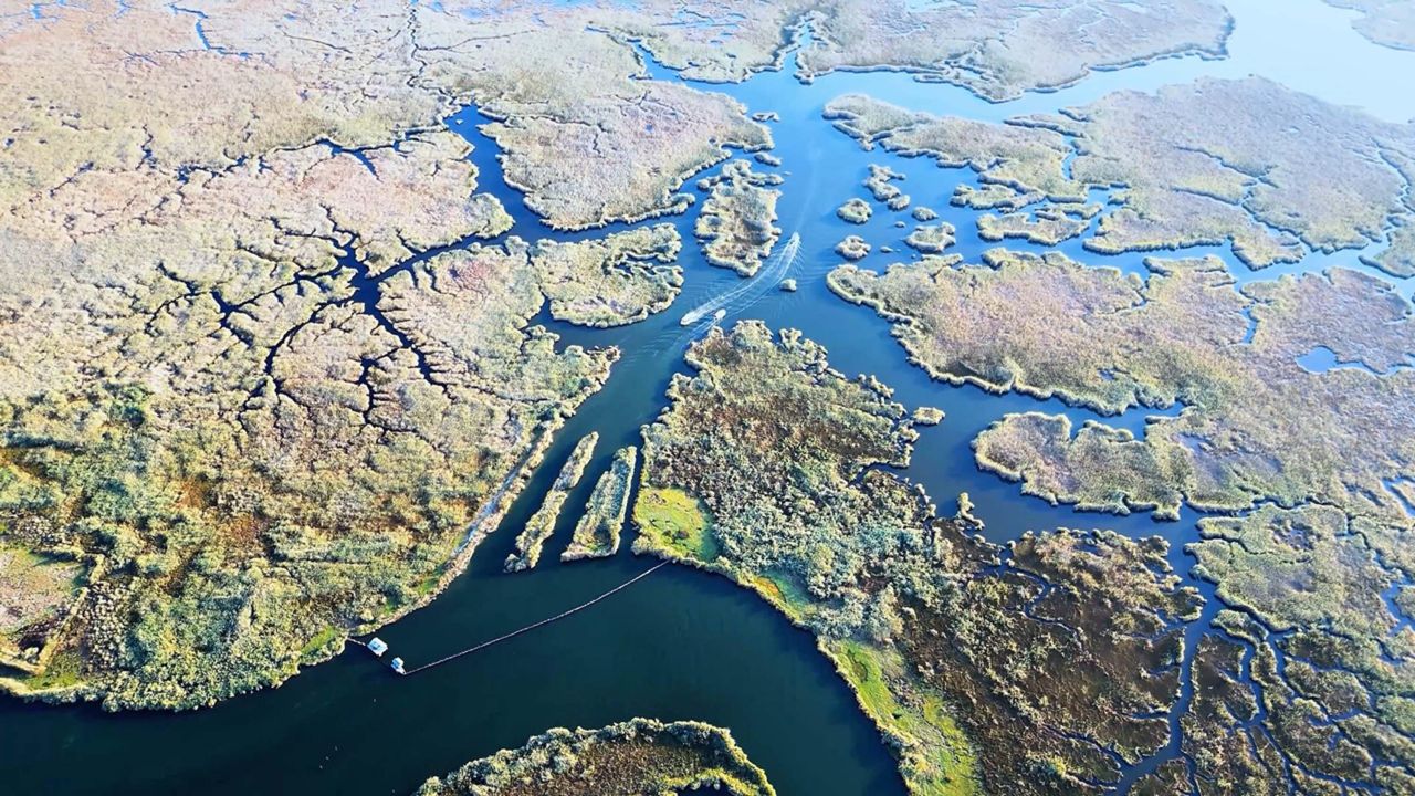Labirent şeklindeki Dalyan Kanalı dronla görüntülendi