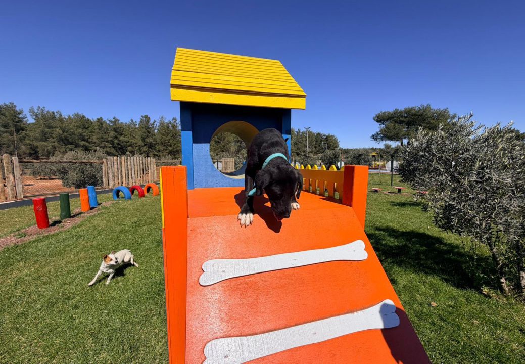 Duacı Mahallesi'nde Pati Park hizmet açıldı