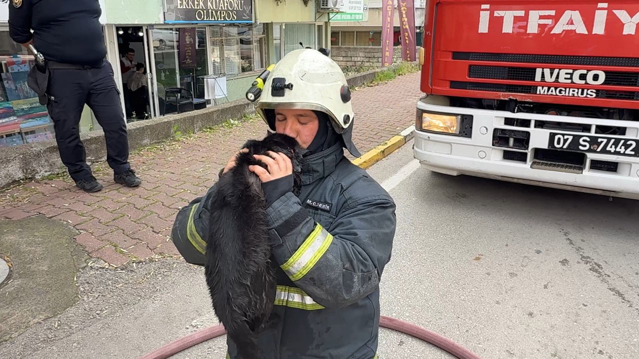 Kalp masajıyla kediyi yaşama bağlayan itfaiye erinin mutluluğu