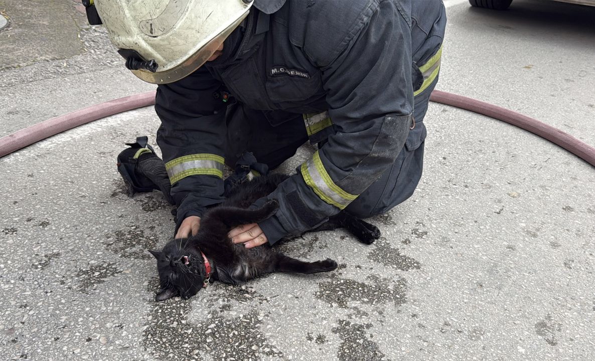 Kalp masajıyla kediyi yaşama bağlayan itfaiye erinin mutluluğu