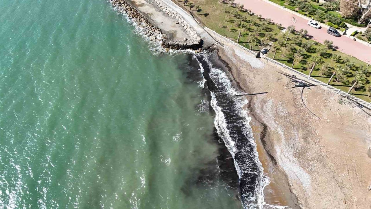 Alanya’da sahildeki siyah tabaka önce  tedirgin etti, gerçek sonradan ortaya çıktı