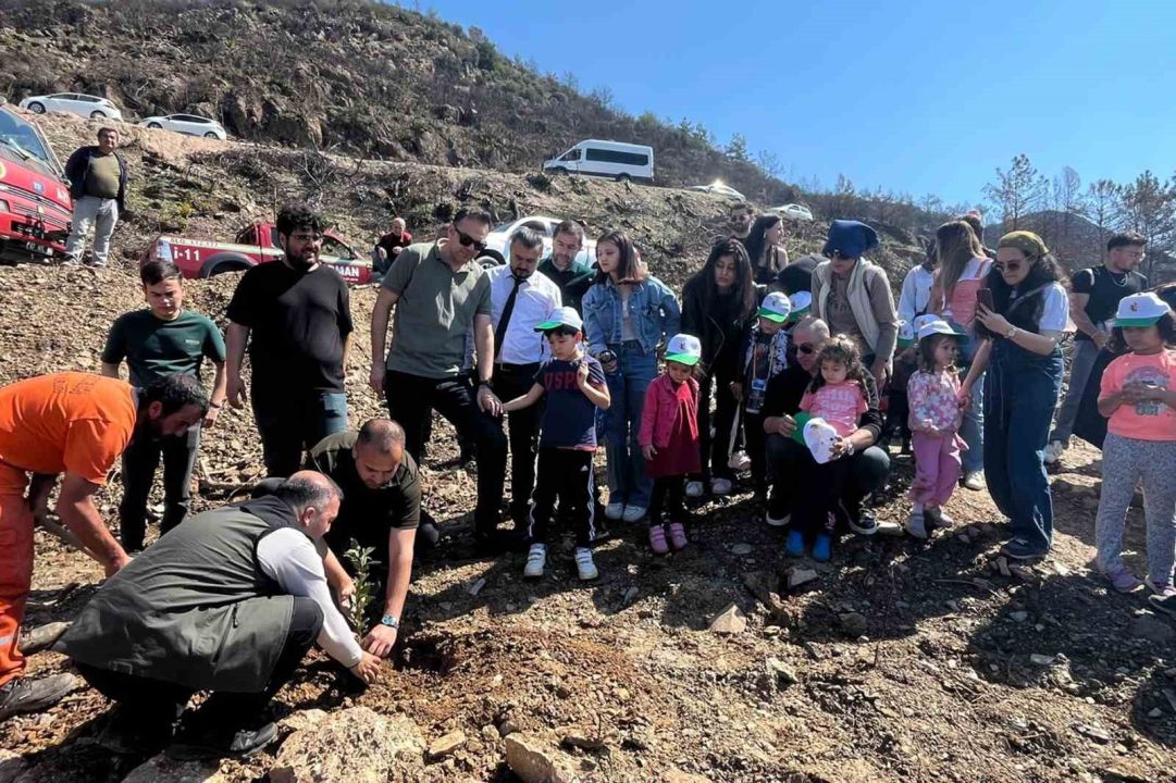 Minikler fidan dikip çilek topladı