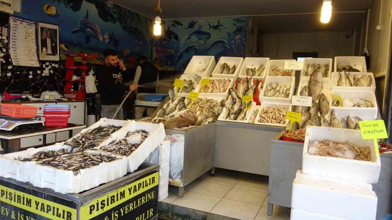 Akdeniz’de av yasağı başlıyor