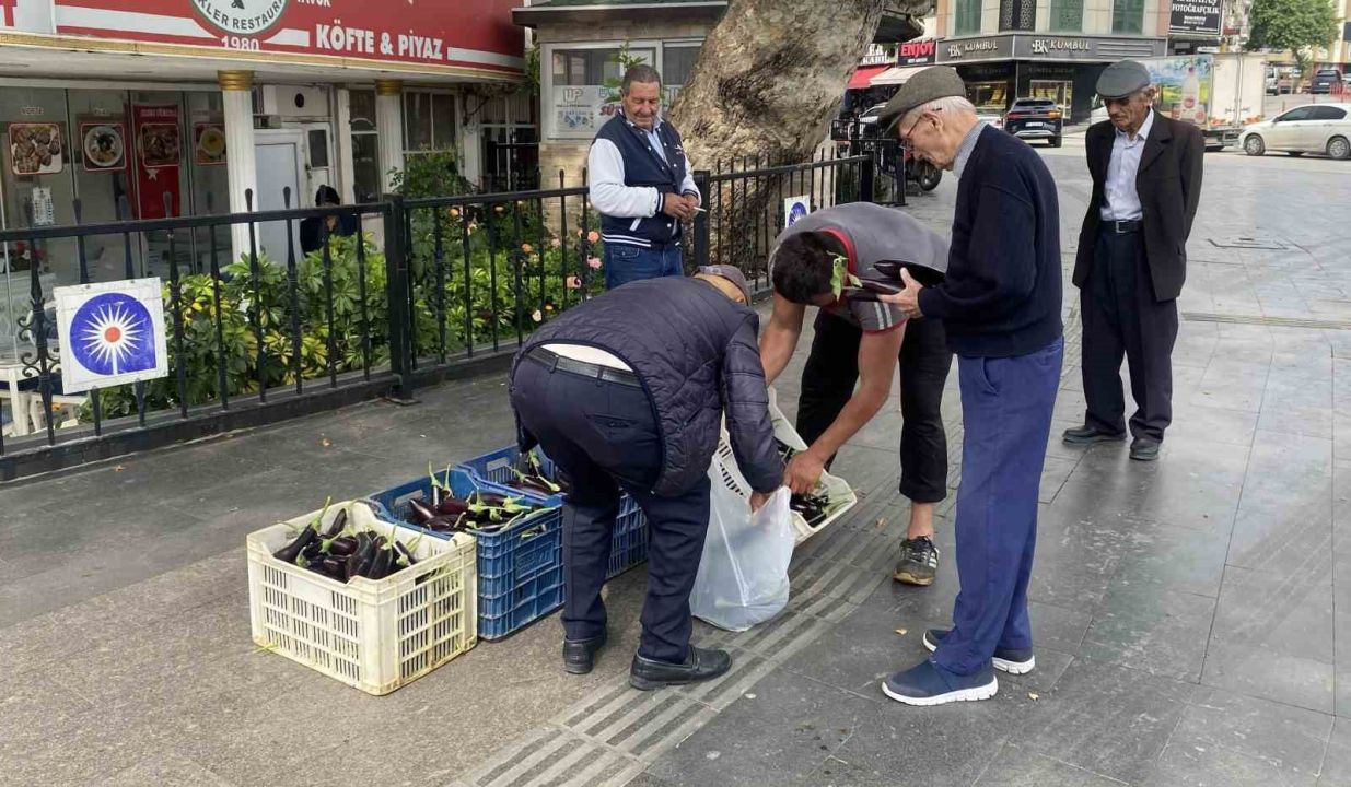 Ürettiği patlıcanlar maliyetini kurtarmayınca serasının kapılarını vatandaşlara açtı