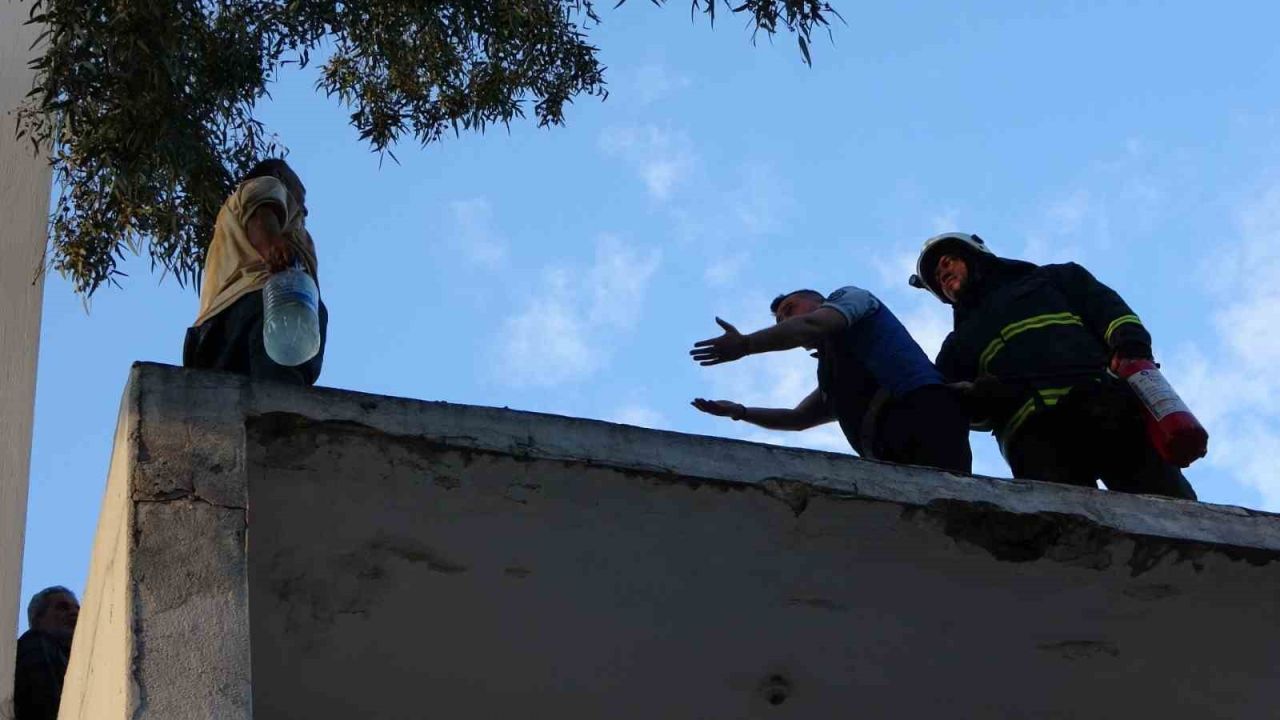 Gazeteci oyaladı polis yakaladı