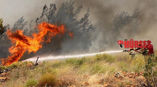 10 YILDA 24 BİN HEKTAR ORMAN YANDI