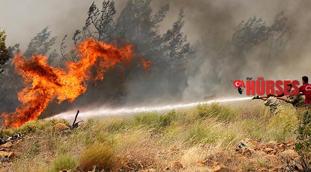 10 YILDA 24 BİN HEKTAR ORMAN YANDI