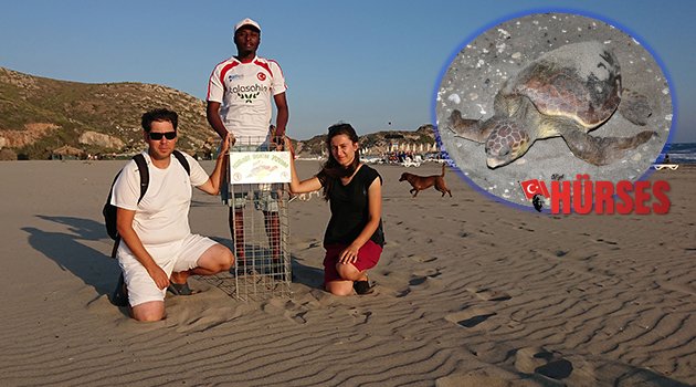 201 caretta yuvası korumaya alındı