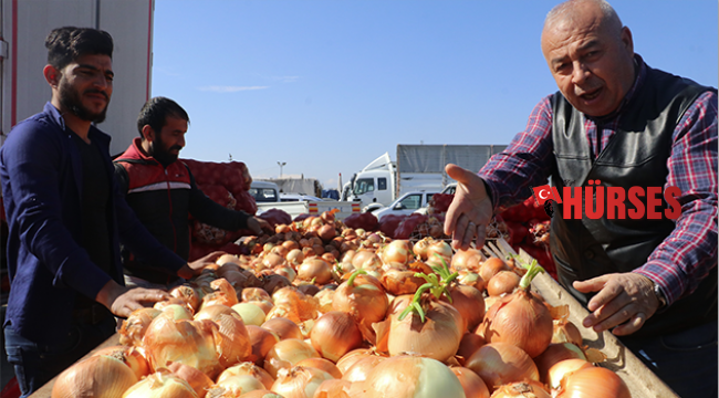 Tanzim satışları fiyatları düşürdü