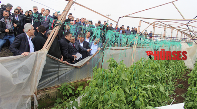 Tarım ve Orman Bakanı Bekir Pakdemirli; Ödemeler yapıldı tadilatlar başladı