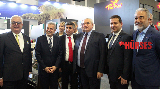 City Bus başlıyor