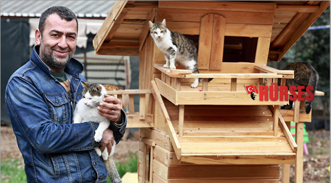 Hayvanları korumada emsal karar