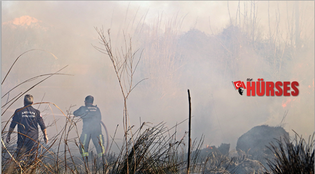 Korkutan sazlık yangını