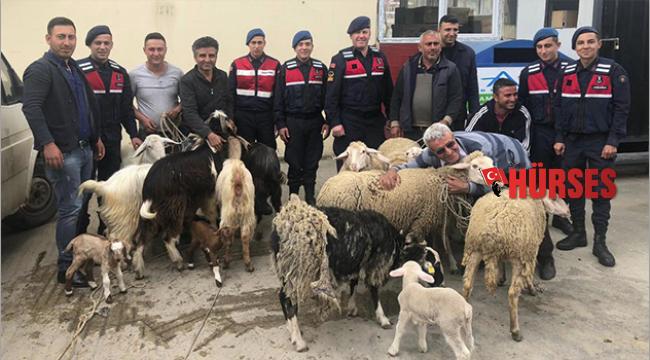 Koyunları bulununca onlara sarıldı