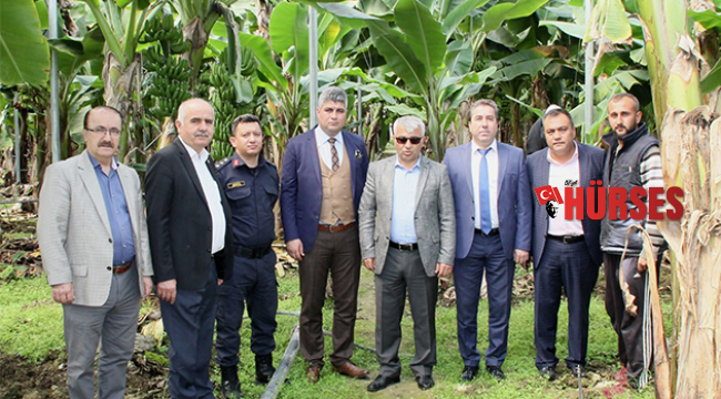 Manavgat'ta muz üretimi artacak