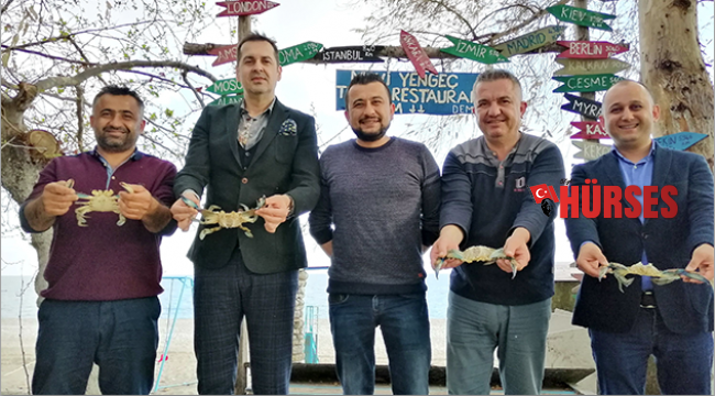 Mavi yengeç marka oldu