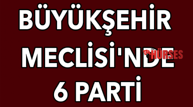 Büyükşehir Meclisi'nde 6 parti