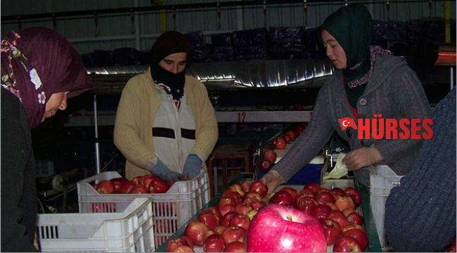 Elmada hareketlilik başladı