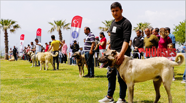 En güzeller Antalya’da yarıştı