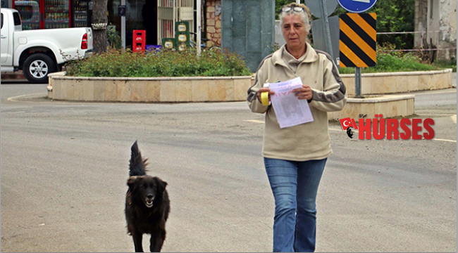 Kaybolan köpeğini köpeklerle arıyor