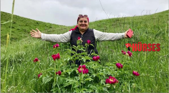 Fotoğrafçıları bekleyen güzellik
