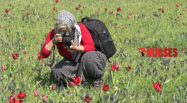 Fotoğraflamak İçin Antalya’dan gittiler