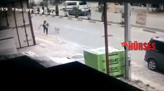 Köpeklerin saldırısına uğradı