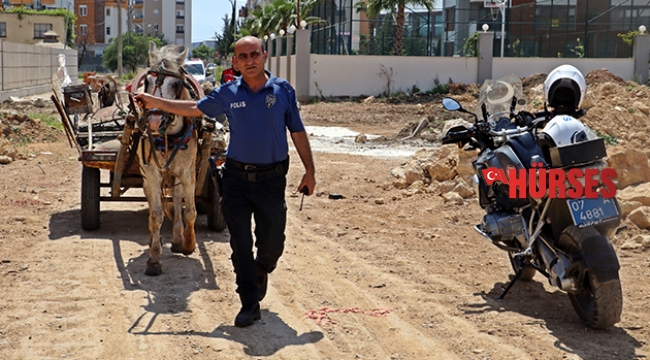 Kör ata, polis şefkati