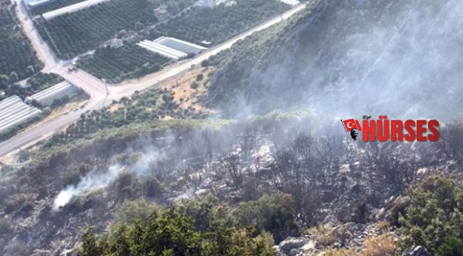 Ormanlık alanda yangın