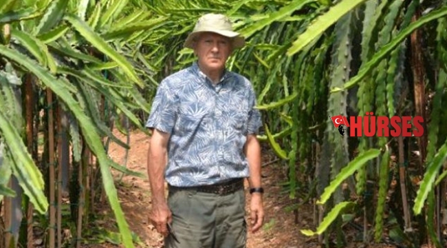 Tropik meyveler çiçek açtı