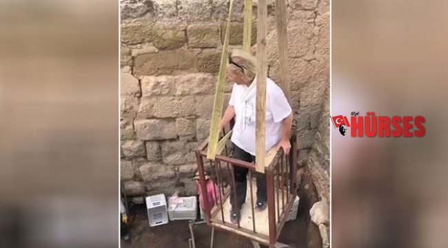 Vinçli bilim aşkı