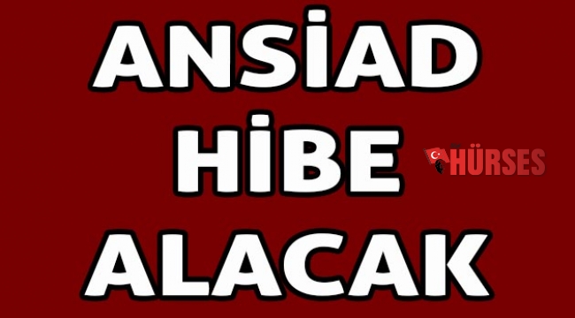 ANSİAD hibe alacak
