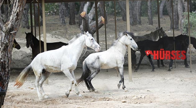 Bir devir sona erdi