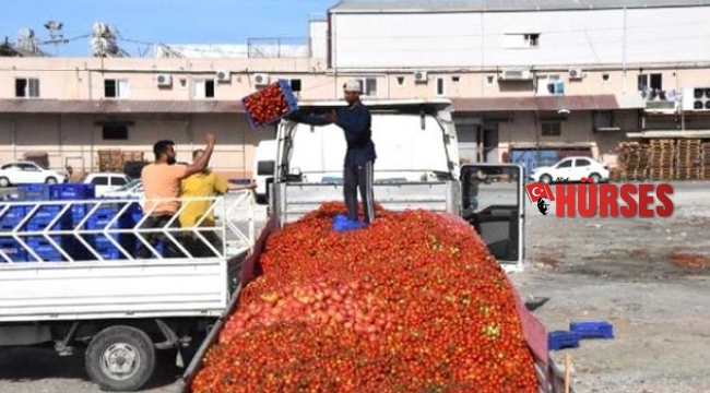 Domatesin üreticisi önlem istiyor