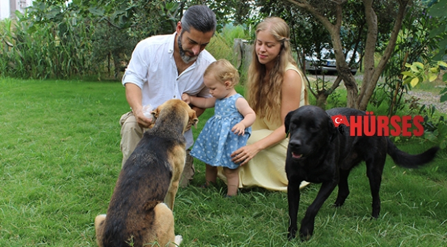 Köpekleri zehirleyen için bin TL para ödülü
