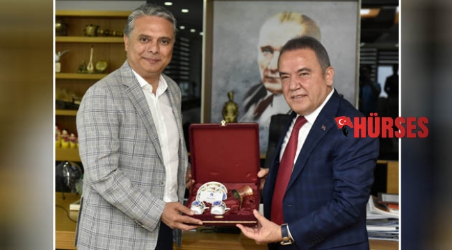 Böcek, Uysal bir araya geldi