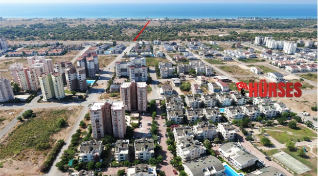 Deniz için  tepeleri aşıyorlar