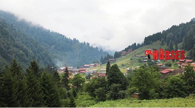 Güzelliğin tavan yaptığı  topraklar: Ayder Yaylası