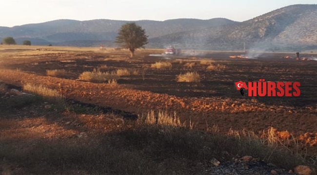 Kargalar yangın çıkardı